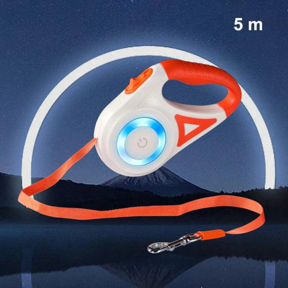 Hondenriem met LED-verlichting